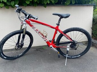 Thömus tomcat CT SL carbon
