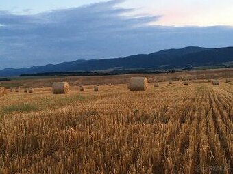 Predam psenicnu slamu