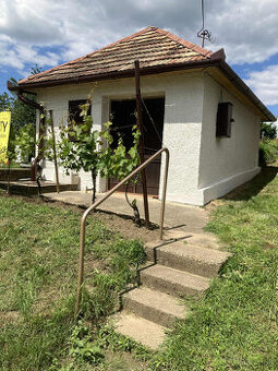 Predám vinicu v osobnom vlastníctve - 1