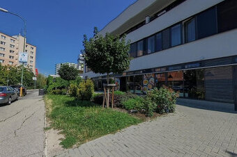 Ponúkam 1 izbový zrekonštruovaný byt,PSÍK