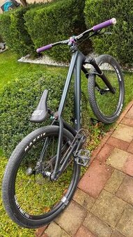 DIRT ROSE the BRUCE 26 Zoll