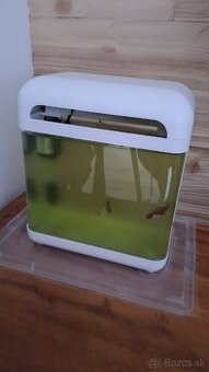 Akvárium + 3 rybičky