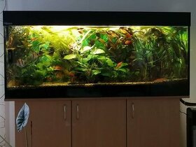 predám 450 litrové akvárium so skrinkou + filter + svetlo
