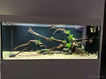 Juwel Rio 240 biele