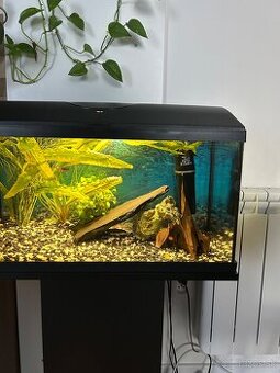 Predám akvárium 50l