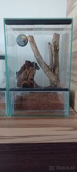 Terarium