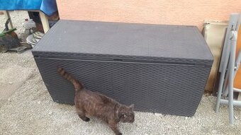 Ratanový plastový box-20eur, kovový stojan na kvety 15eur