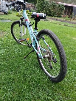 Dema junior 24palcov kolesá