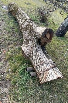 Orechové drevo
