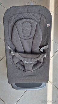Ergobaby Evolve bouncer