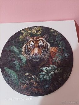 Wooden puzzle  tiger