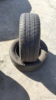 225/55r17C 109/107H Danlop letne