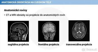 Ľudské telo - detailné poznámky
