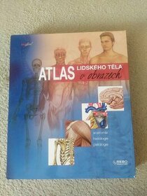 Atlas lidského tela v obrazech