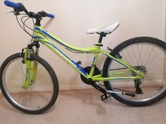 Horský bicykel 24