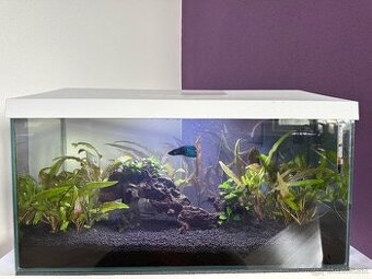 Zabehnuté akvárium Aquael 54L s príslušenstvom