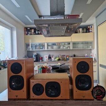 VIENNA ACOUSTICS Haydn + VIENNA ACOUSTICS center...