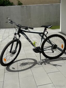 CTM Rein 3.0 29´´ 2019