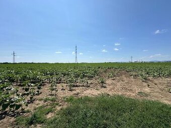 NA PREDAJ: ORNÁ PÔDA V SMERE NA ZELENEČ, TRNAVA