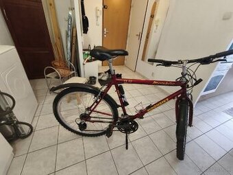 Bicykel