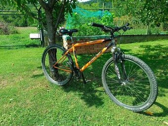 horsky bicykel author kinetic
