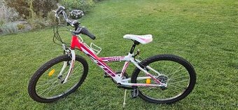 Bicykel CTM Willy 24"
