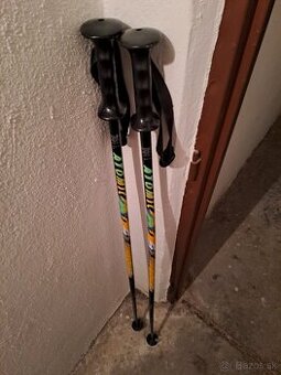 Lyžiarske paličky 125cm