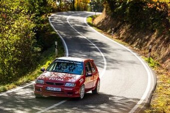 Citroen Saxo VTS - Rally Auto