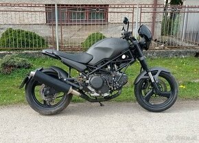 Ducati monster 600 custom