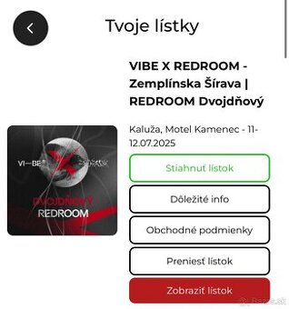 Vibe x RR 2 Dni