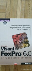 Visual FoxPro 6.0