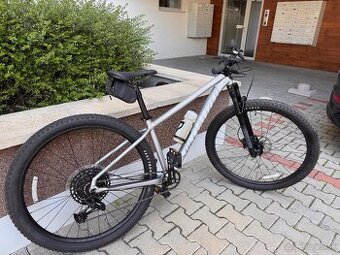 Specialized rockhopper expert