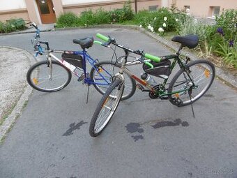 Bicykel Author Dallas