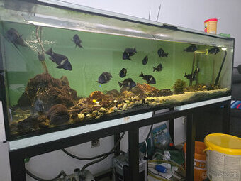 Akvarium 400L