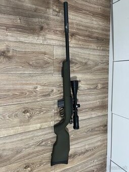 Malokalibrovka Diana r22