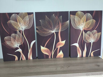 Predám tlačené obrazy