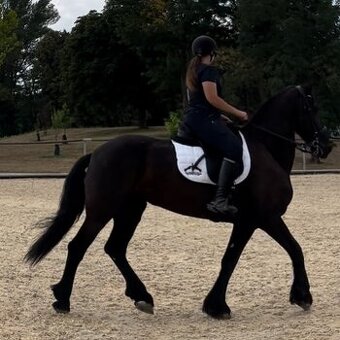 Stajník/Ošetrovatel/Technické práce