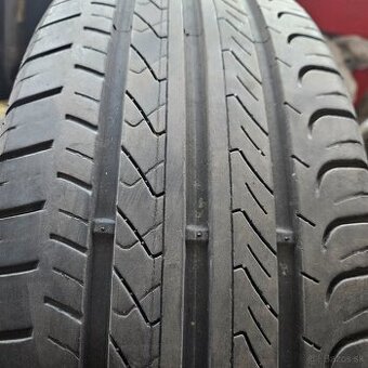 GT RADIAL CHAMPIRO FE1 195/55R16