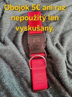 Veci pre psov: