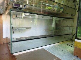 Terarium