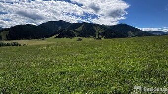 Na predaj pozemok v obci Pavčina Lehota – 3 624 m²
