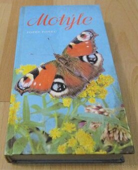 Motýle