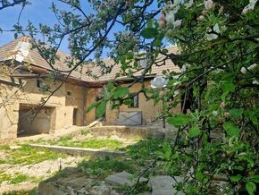 Chalúpka na Brezovke na polosamote staroturanských kopaníc
