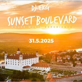 DJ EKG Sunset Boulevard