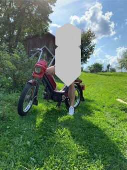 Predam Banetu 210