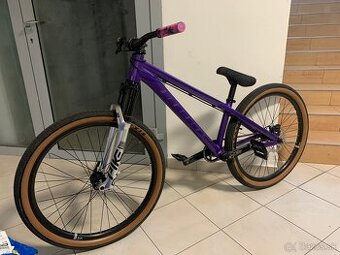 Ctm dirtking 2024 pro