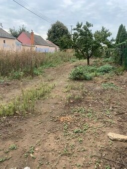 POZEMOK na predaj - ŠOPORŇA, okr. Galanta