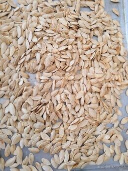 Predám tekvicové jadierka