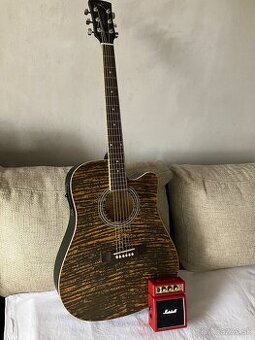 Nová elektroakustická kytara