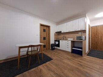 1 izbový byt na prenájom - Kompletne prerobený Priekopa